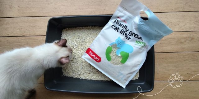 Review: onze ervaring met hoopo tofu kattenbakvulling